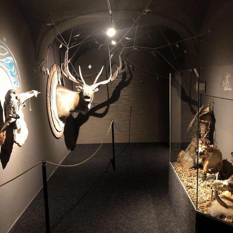 Jagdkultur Museum